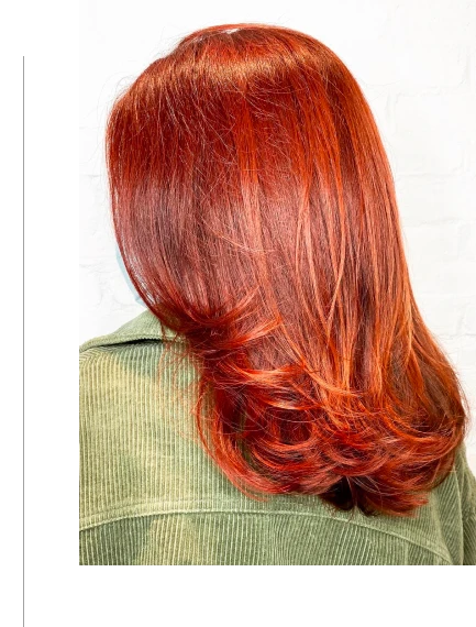 Highlights & Lowlights Hair Colouring