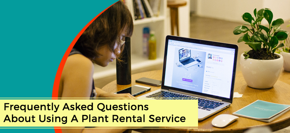 Frequently Asked Questions About Using A Plant Rental Service