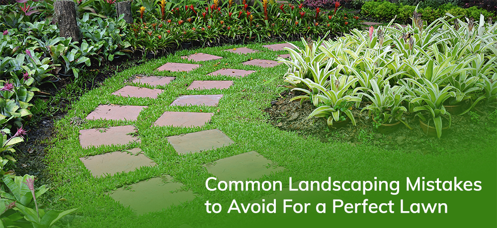 Common Landscaping Mistakes to Avoid For a Perfect Lawn