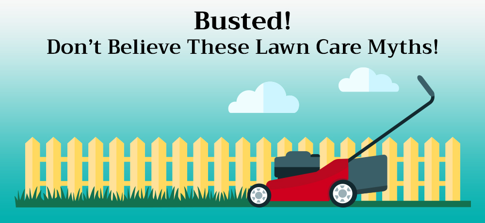 Busted! Don’t Believe These Lawn Care Myths!