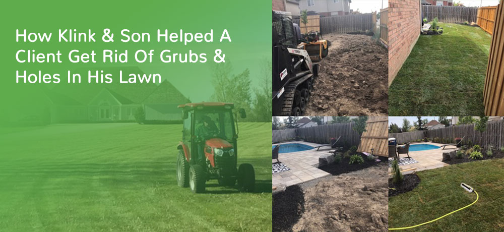 How Klink & Son Helped A Client Get Rid Of Grubs & Holes In His Lawn