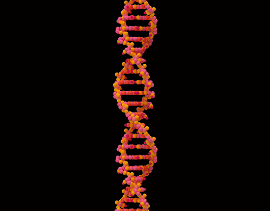 3D Lenticular Animation of a DNA Module designed by Softmotion 3D