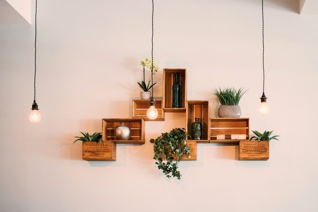 Crates hung up on the wall with plants