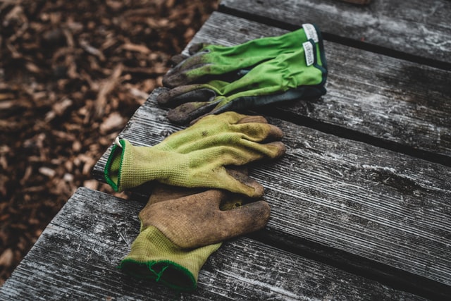 A few pairs of gardening gloves