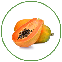 Papaya