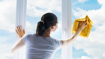 Windows Cleaning