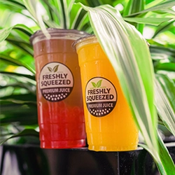 Fruit Tea