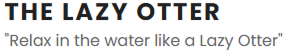 Lazy Otter Innovations LLC