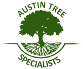 Austin Tree Specialists