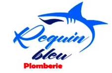 Requin Bleu
