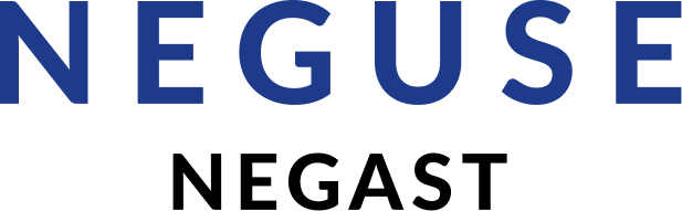 Neguse Negast Logo